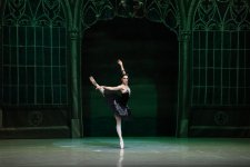 Белый лебедь, чёрная тайна - между светом и тьмой в Баку (ВИДЕО, ФОТО)