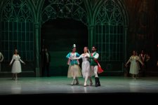 Белый лебедь, чёрная тайна - между светом и тьмой в Баку (ВИДЕО, ФОТО)