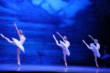 Белый лебедь, чёрная тайна - между светом и тьмой в Баку (ВИДЕО, ФОТО)