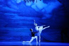 Белый лебедь, чёрная тайна - между светом и тьмой в Баку (ВИДЕО, ФОТО)