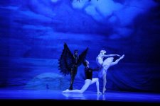 Белый лебедь, чёрная тайна - между светом и тьмой в Баку (ВИДЕО, ФОТО)