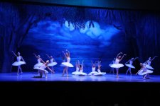 Белый лебедь, чёрная тайна - между светом и тьмой в Баку (ВИДЕО, ФОТО)