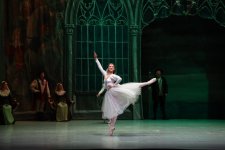 Белый лебедь, чёрная тайна - между светом и тьмой в Баку (ВИДЕО, ФОТО)