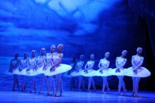 Белый лебедь, чёрная тайна - между светом и тьмой в Баку (ВИДЕО, ФОТО)