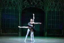 Белый лебедь, чёрная тайна - между светом и тьмой в Баку (ВИДЕО, ФОТО)