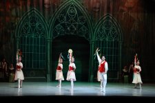 Белый лебедь, чёрная тайна - между светом и тьмой в Баку (ВИДЕО, ФОТО)