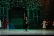 Белый лебедь, чёрная тайна - между светом и тьмой в Баку (ВИДЕО, ФОТО)