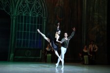 Белый лебедь, чёрная тайна - между светом и тьмой в Баку (ВИДЕО, ФОТО)