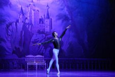 Белый лебедь, чёрная тайна - между светом и тьмой в Баку (ВИДЕО, ФОТО)