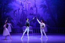 Белый лебедь, чёрная тайна - между светом и тьмой в Баку (ВИДЕО, ФОТО)