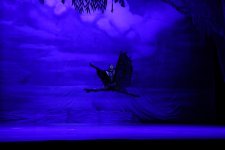 Белый лебедь, чёрная тайна - между светом и тьмой в Баку (ВИДЕО, ФОТО)