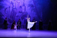 Белый лебедь, чёрная тайна - между светом и тьмой в Баку (ВИДЕО, ФОТО)