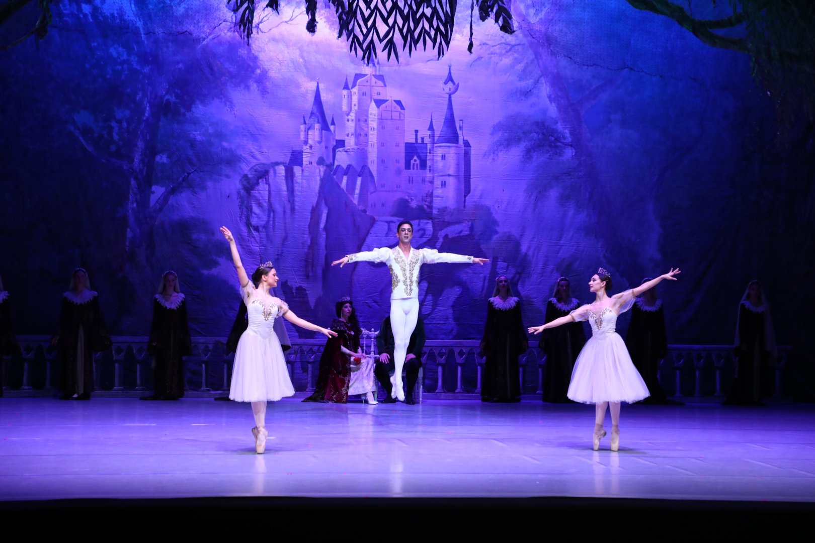 Белый лебедь, чёрная тайна - между светом и тьмой в Баку (ВИДЕО, ФОТО)