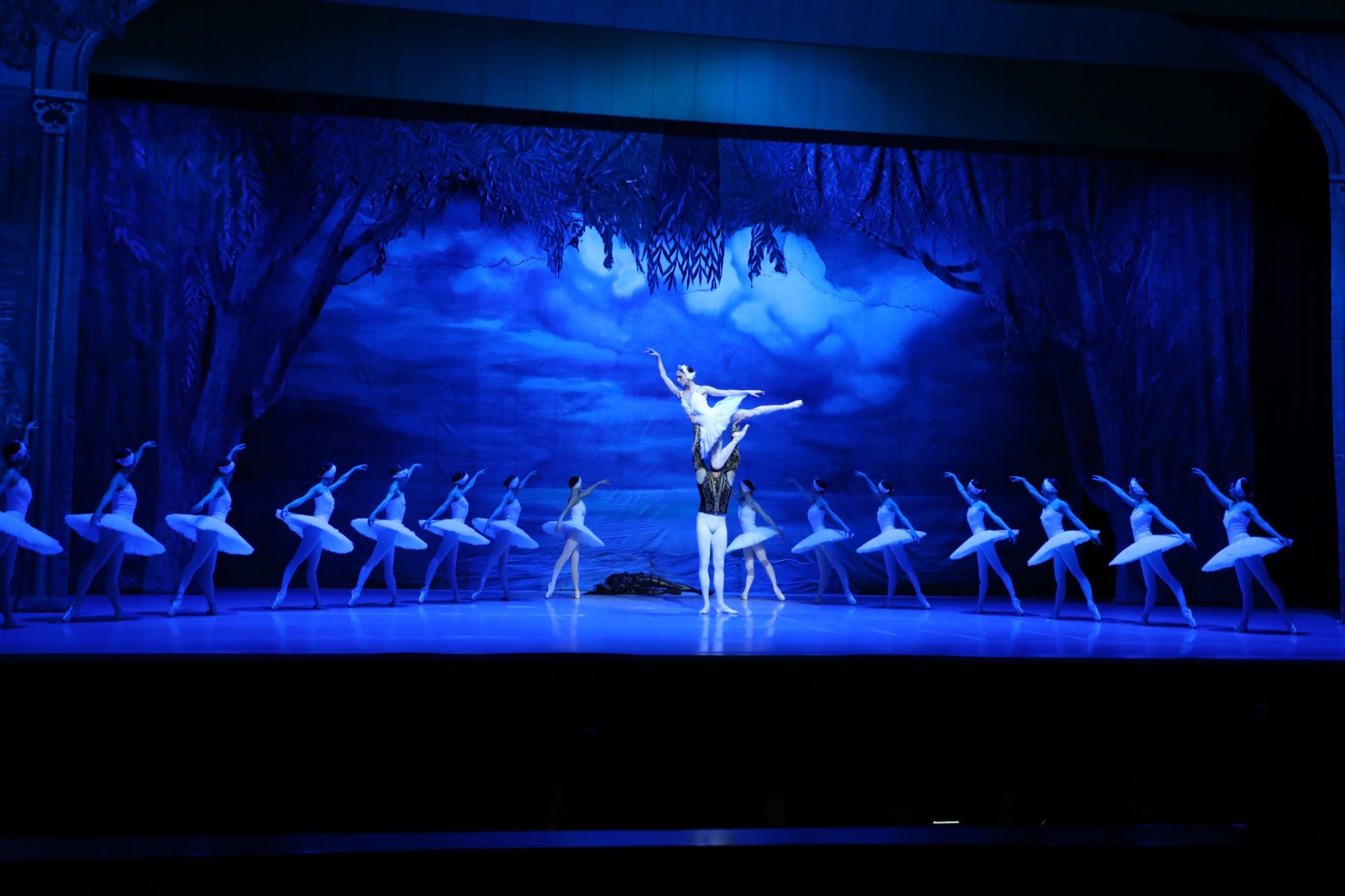 Белый лебедь, чёрная тайна - между светом и тьмой в Баку (ВИДЕО, ФОТО)