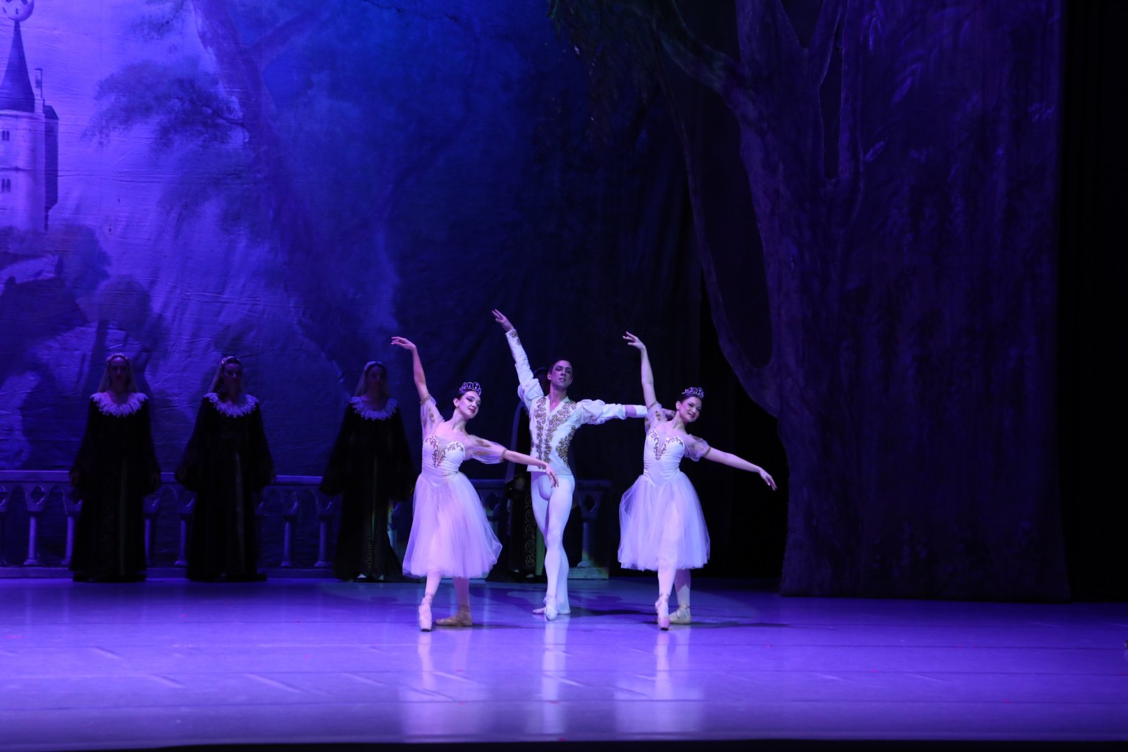 Белый лебедь, чёрная тайна - между светом и тьмой в Баку (ВИДЕО, ФОТО)