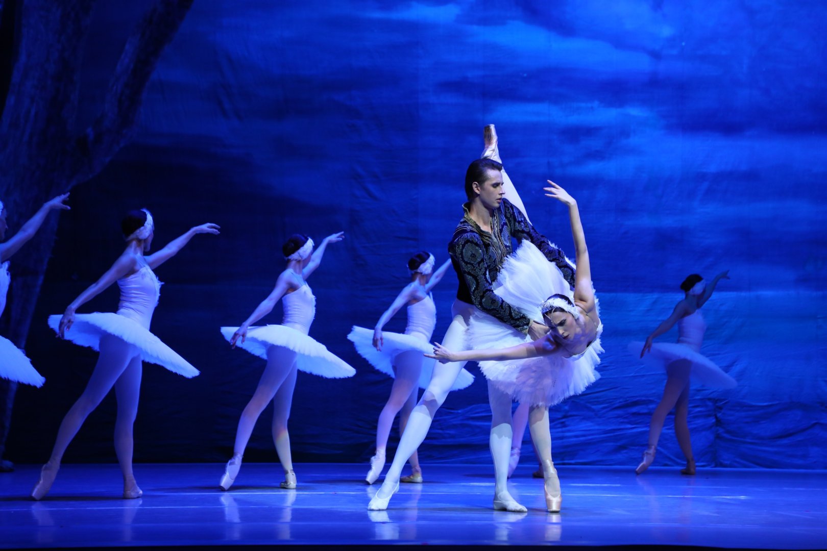 Белый лебедь, чёрная тайна - между светом и тьмой в Баку (ВИДЕО, ФОТО)