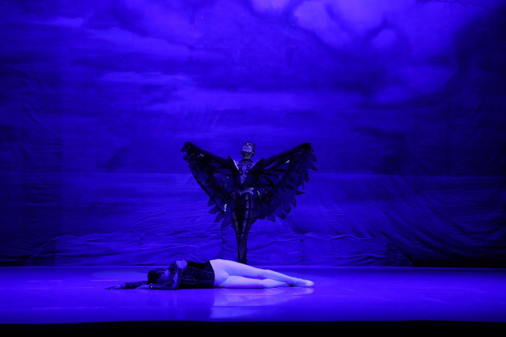 Белый лебедь, чёрная тайна - между светом и тьмой в Баку (ВИДЕО, ФОТО)