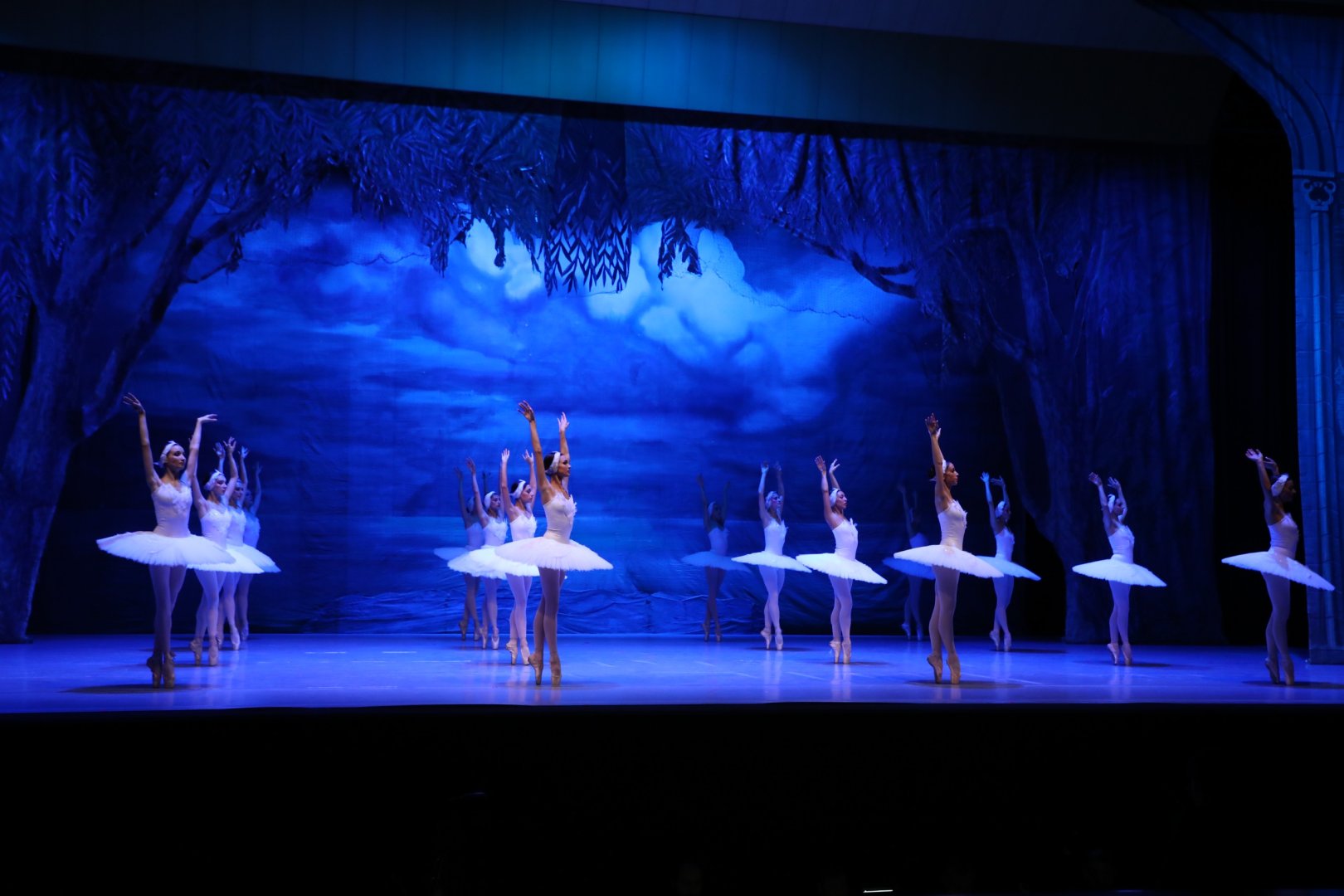 Белый лебедь, чёрная тайна - между светом и тьмой в Баку (ВИДЕО, ФОТО)