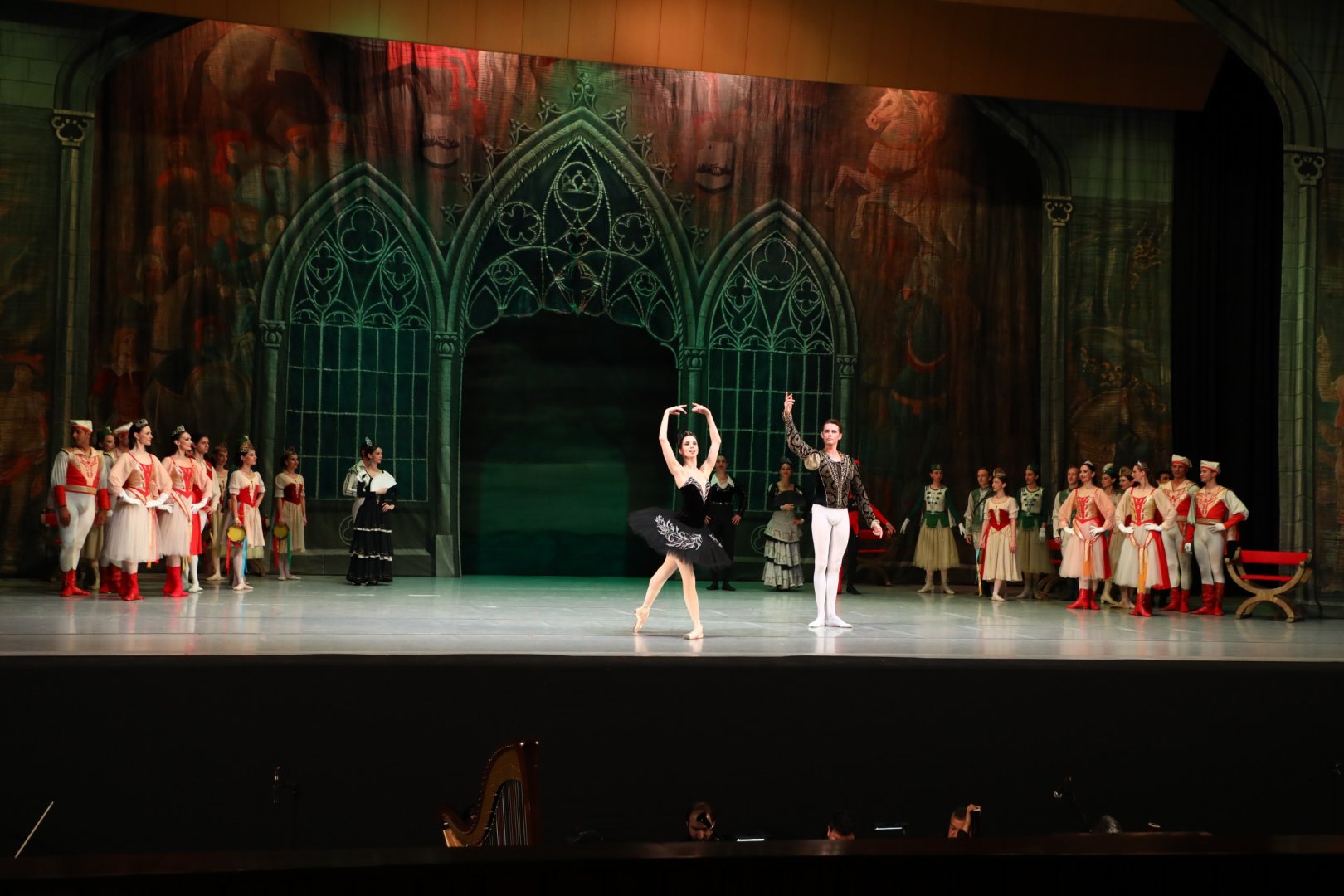 Белый лебедь, чёрная тайна - между светом и тьмой в Баку (ВИДЕО, ФОТО)