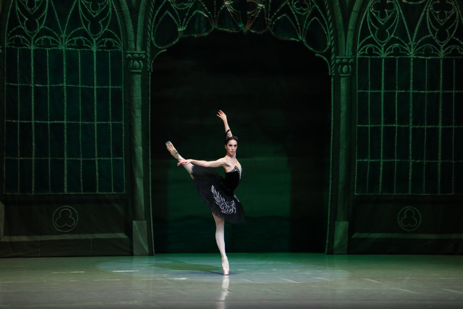 Белый лебедь, чёрная тайна - между светом и тьмой в Баку (ВИДЕО, ФОТО)