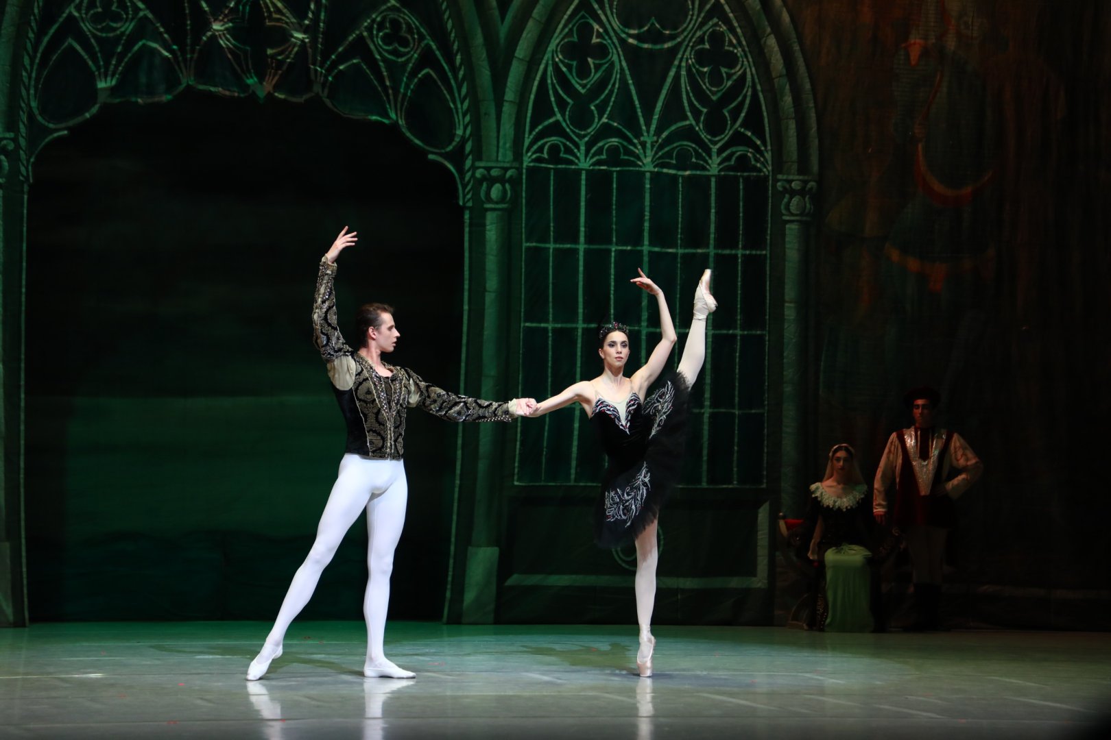 Белый лебедь, чёрная тайна - между светом и тьмой в Баку (ВИДЕО, ФОТО)