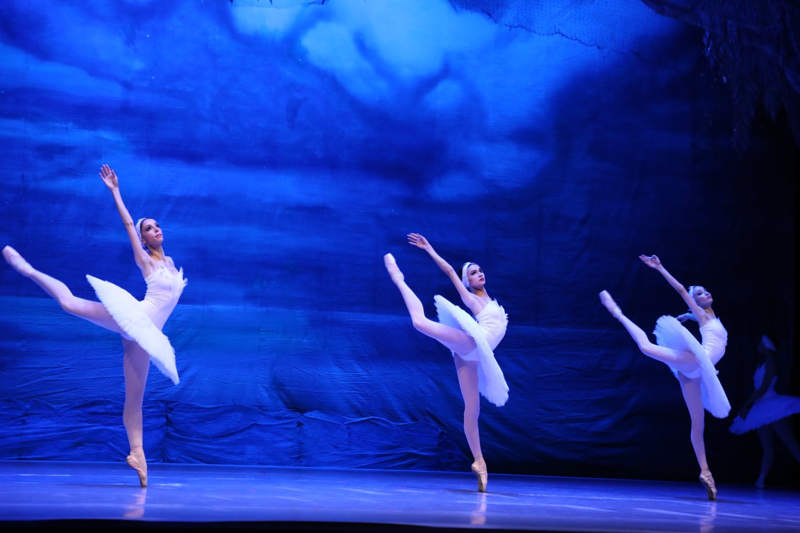 Белый лебедь, чёрная тайна - между светом и тьмой в Баку (ВИДЕО, ФОТО)