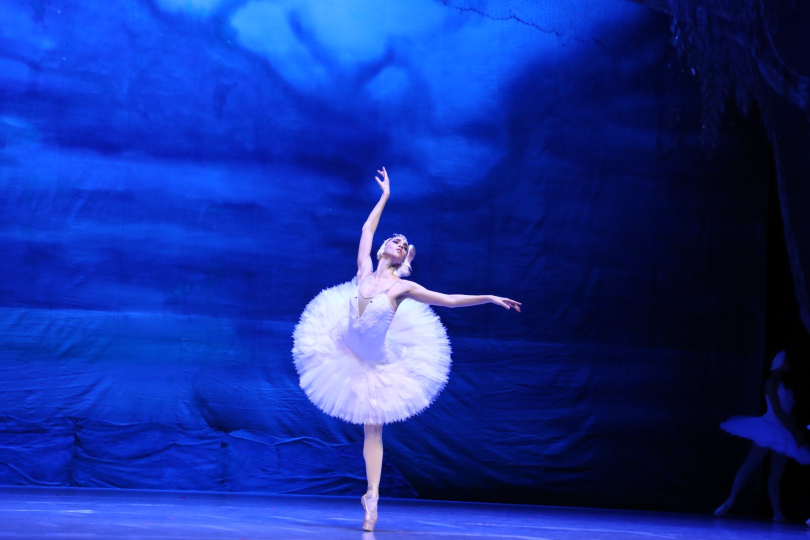 Белый лебедь, чёрная тайна - между светом и тьмой в Баку (ВИДЕО, ФОТО)