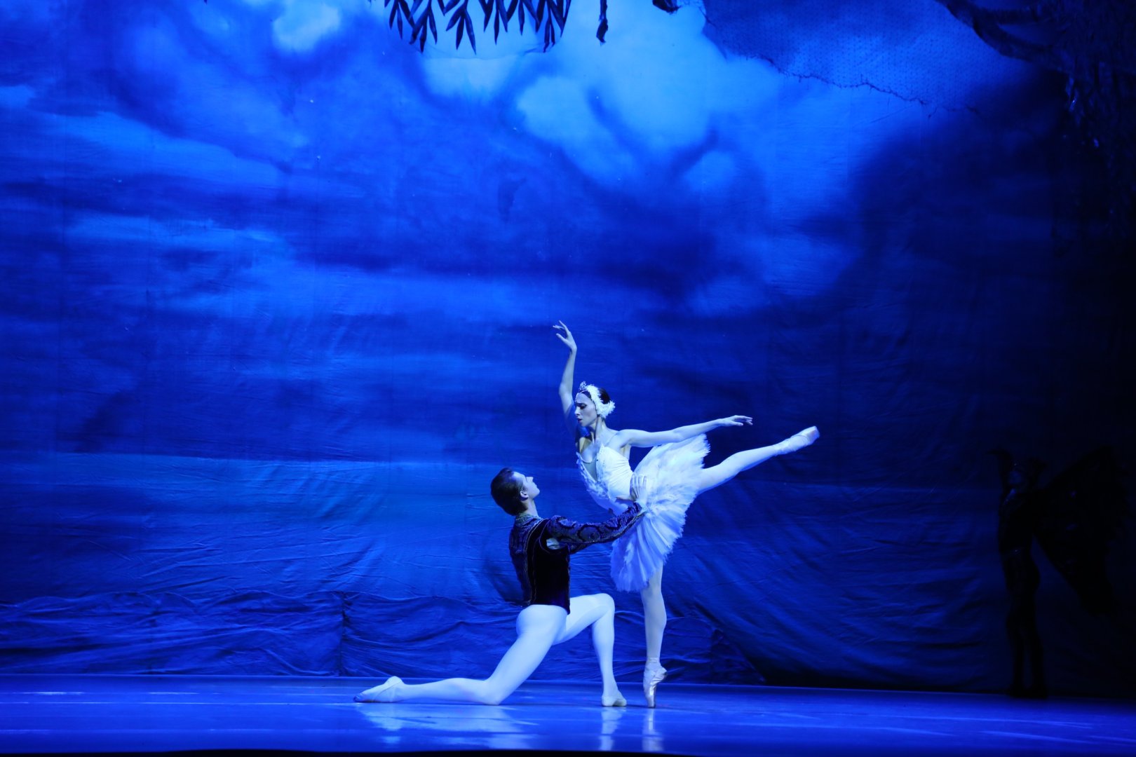 Белый лебедь, чёрная тайна - между светом и тьмой в Баку (ВИДЕО, ФОТО)