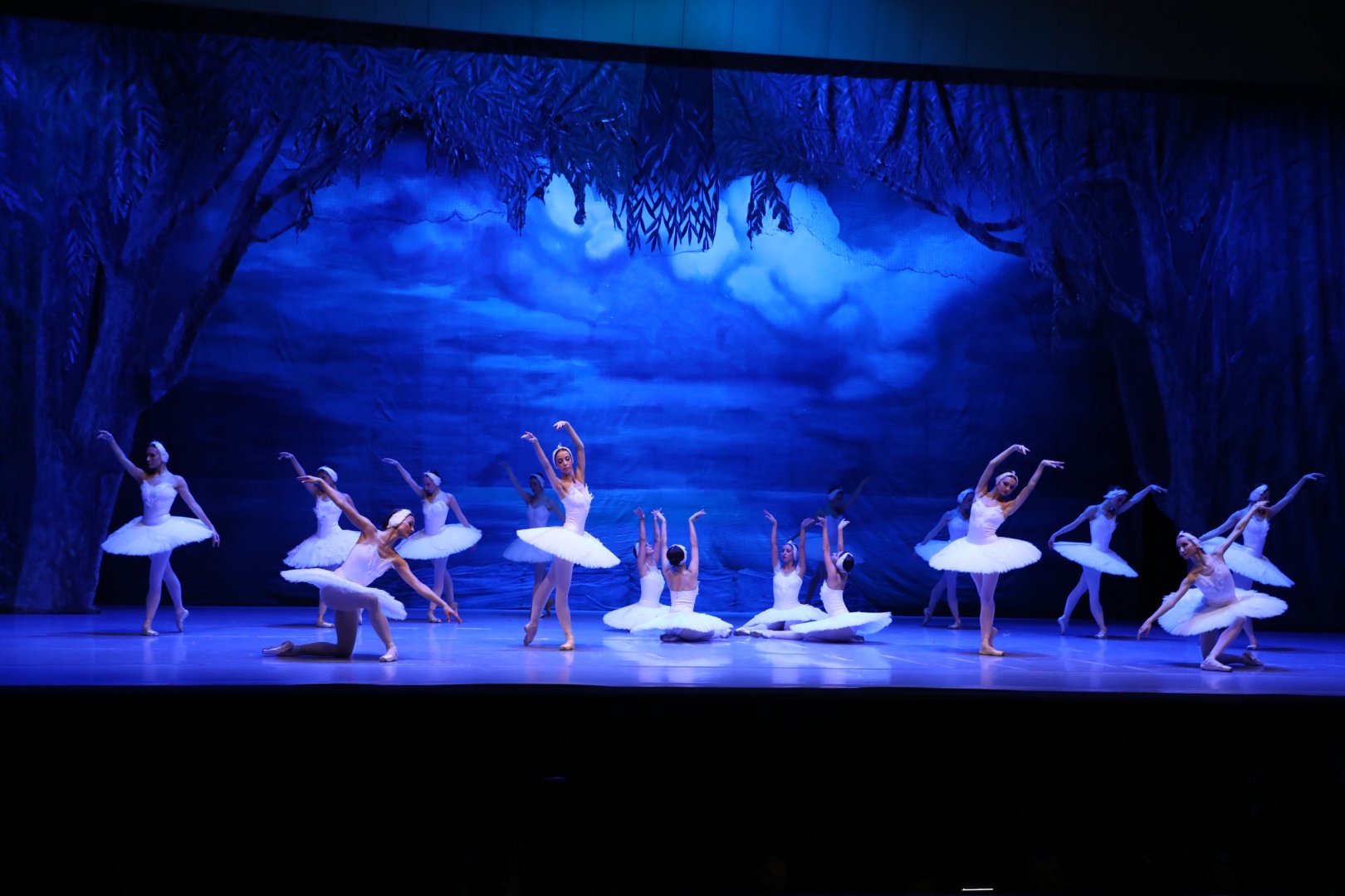 Белый лебедь, чёрная тайна - между светом и тьмой в Баку (ВИДЕО, ФОТО)