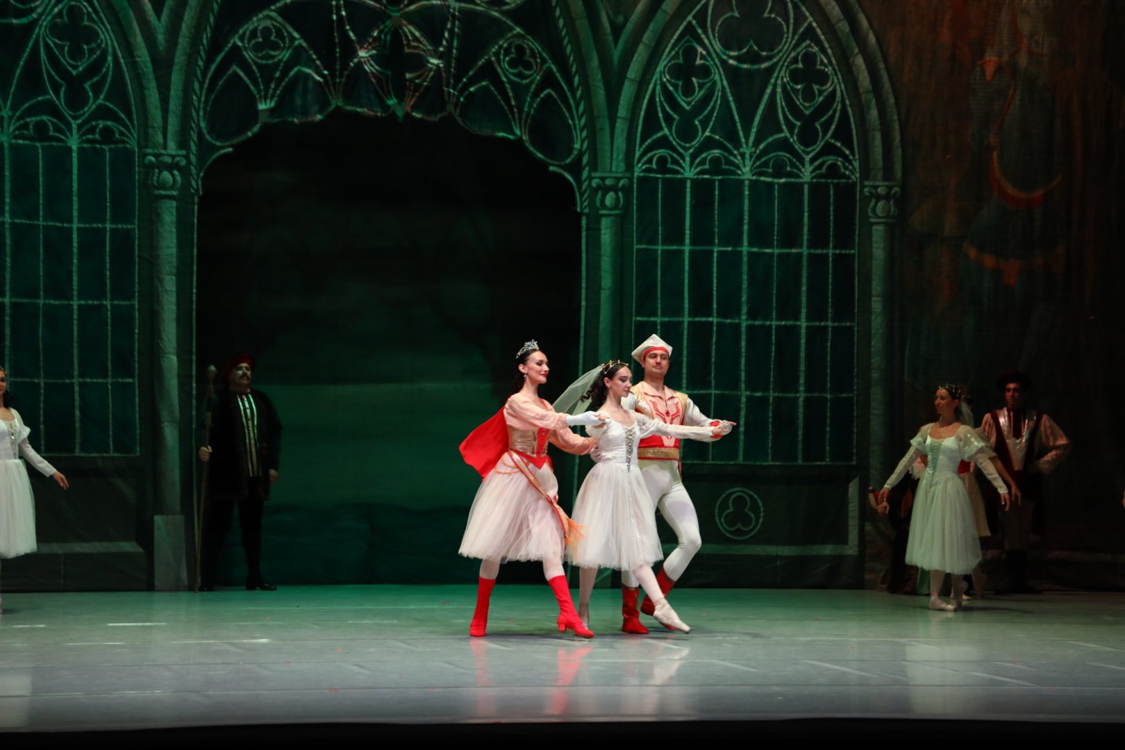 Белый лебедь, чёрная тайна - между светом и тьмой в Баку (ВИДЕО, ФОТО)