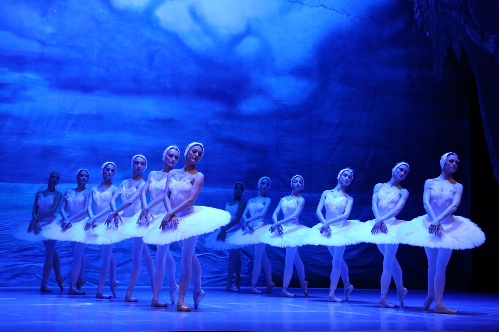 Белый лебедь, чёрная тайна - между светом и тьмой в Баку (ВИДЕО, ФОТО)