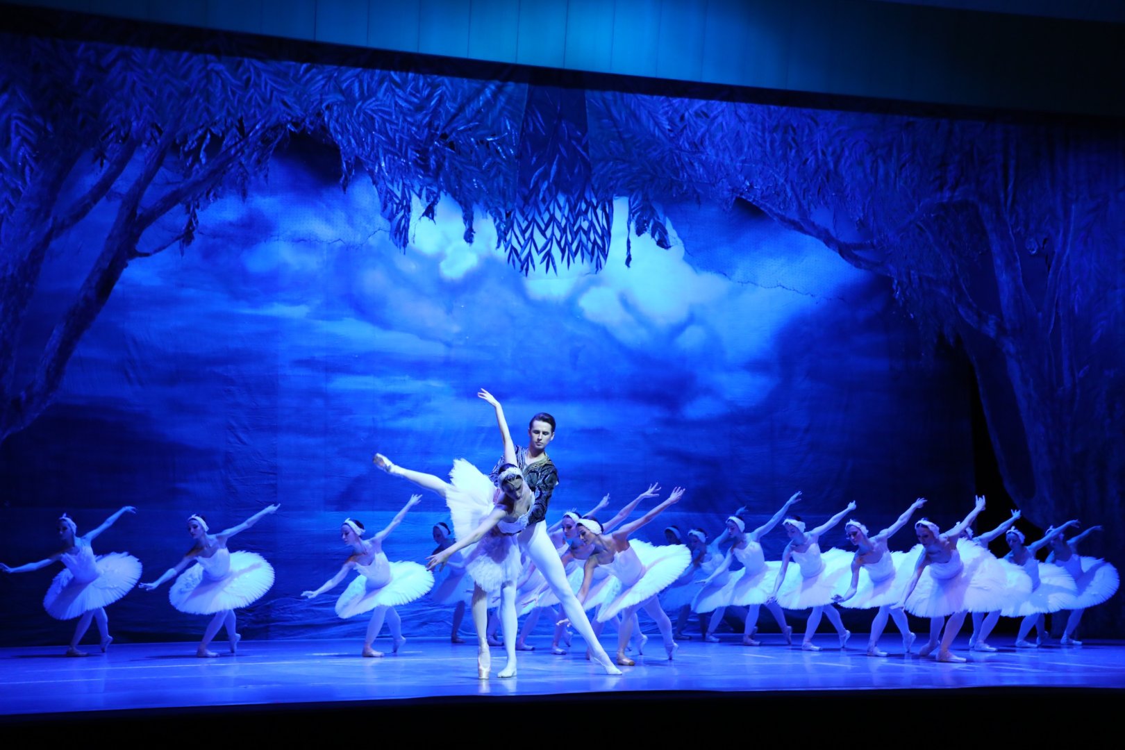 Белый лебедь, чёрная тайна - между светом и тьмой в Баку (ВИДЕО, ФОТО)