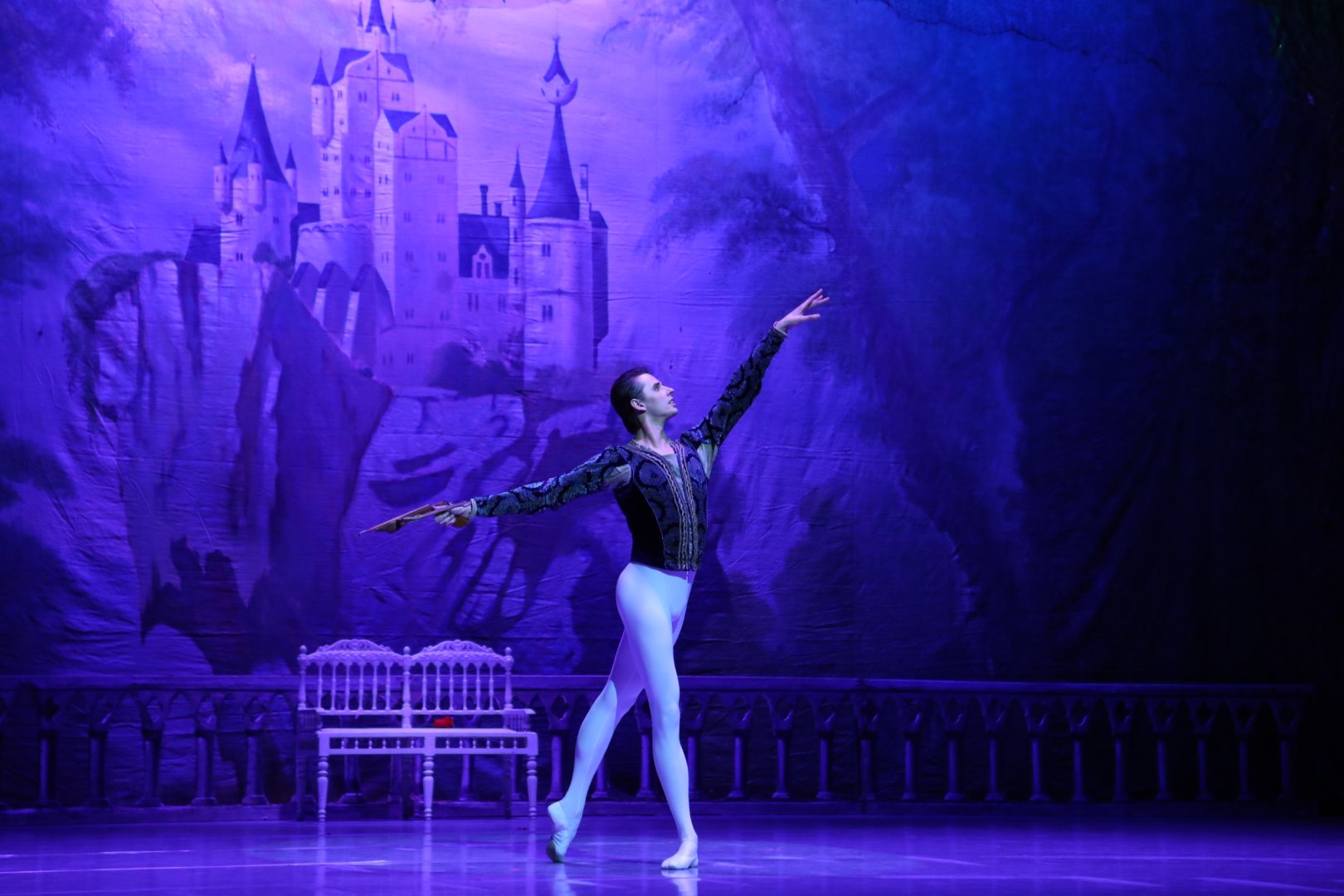 Белый лебедь, чёрная тайна - между светом и тьмой в Баку (ВИДЕО, ФОТО)