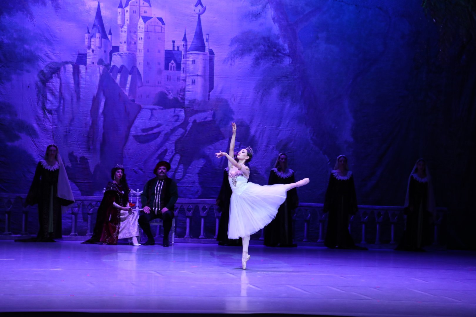 Белый лебедь, чёрная тайна - между светом и тьмой в Баку (ВИДЕО, ФОТО)