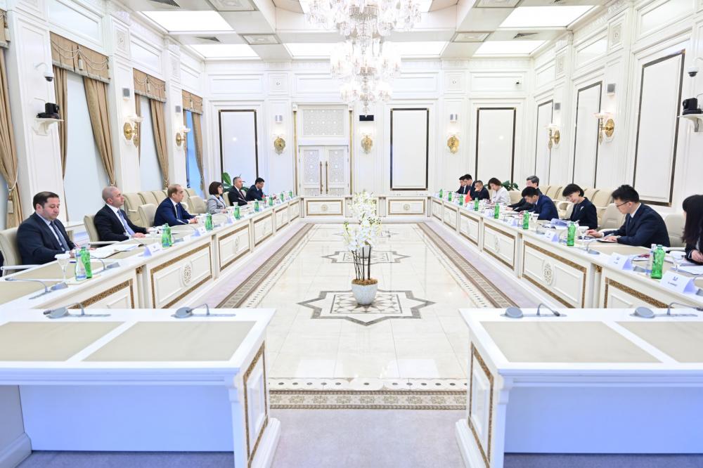 Обсуждено стратегическое партнерство и развитие цифровой экономики Азербайджана и Китая (ФОТО)