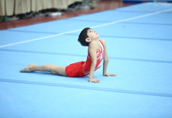 В Сумгайыте состоялось первенство Азербайджана по спортивной гимнастике (ФОТО)