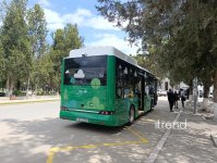 В Ханкенди введены в эксплуатацию три маршрутные линии (ФОТО)