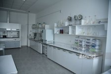 В Бакинском филиале МГУ имени М.В. Ломоносова прошел День открытых дверей на 2026/2027 учебный год (ФОТО)