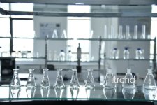 В Бакинском филиале МГУ имени М.В. Ломоносова прошел День открытых дверей на 2026/2027 учебный год (ФОТО)