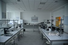 В Бакинском филиале МГУ имени М.В. Ломоносова прошел День открытых дверей на 2026/2027 учебный год (ФОТО)