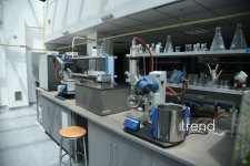 В Бакинском филиале МГУ имени М.В. Ломоносова прошел День открытых дверей на 2026/2027 учебный год (ФОТО)