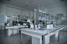 В Бакинском филиале МГУ имени М.В. Ломоносова прошел День открытых дверей на 2026/2027 учебный год (ФОТО)