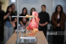 В Бакинском филиале МГУ имени М.В. Ломоносова прошел День открытых дверей на 2026/2027 учебный год (ФОТО)