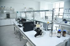 В Бакинском филиале МГУ имени М.В. Ломоносова прошел День открытых дверей на 2026/2027 учебный год (ФОТО)