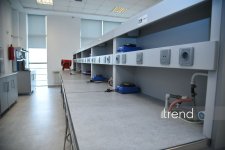 В Бакинском филиале МГУ имени М.В. Ломоносова прошел День открытых дверей на 2026/2027 учебный год (ФОТО)