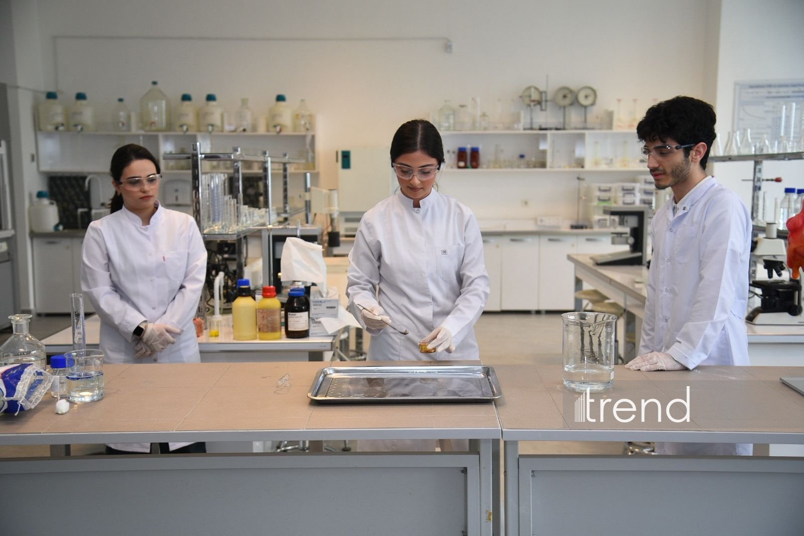 В Бакинском филиале МГУ имени М.В. Ломоносова прошел День открытых дверей на 2026/2027 учебный год (ФОТО)