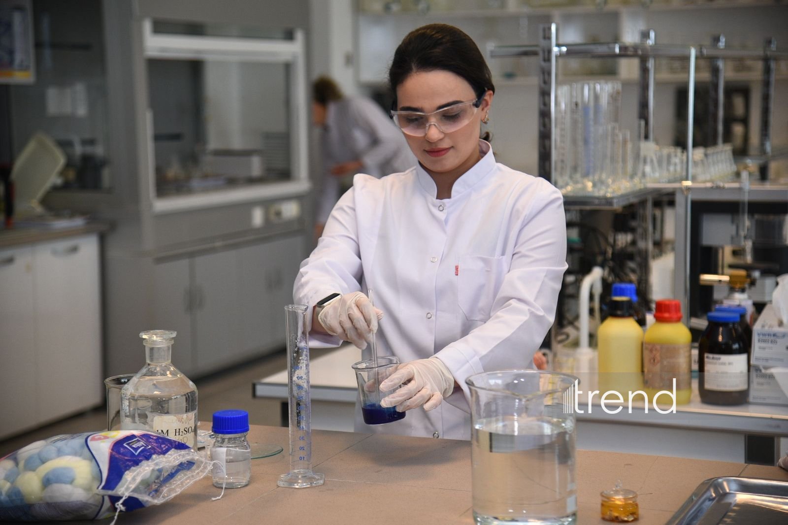 В Бакинском филиале МГУ имени М.В. Ломоносова прошел День открытых дверей на 2026/2027 учебный год (ФОТО)