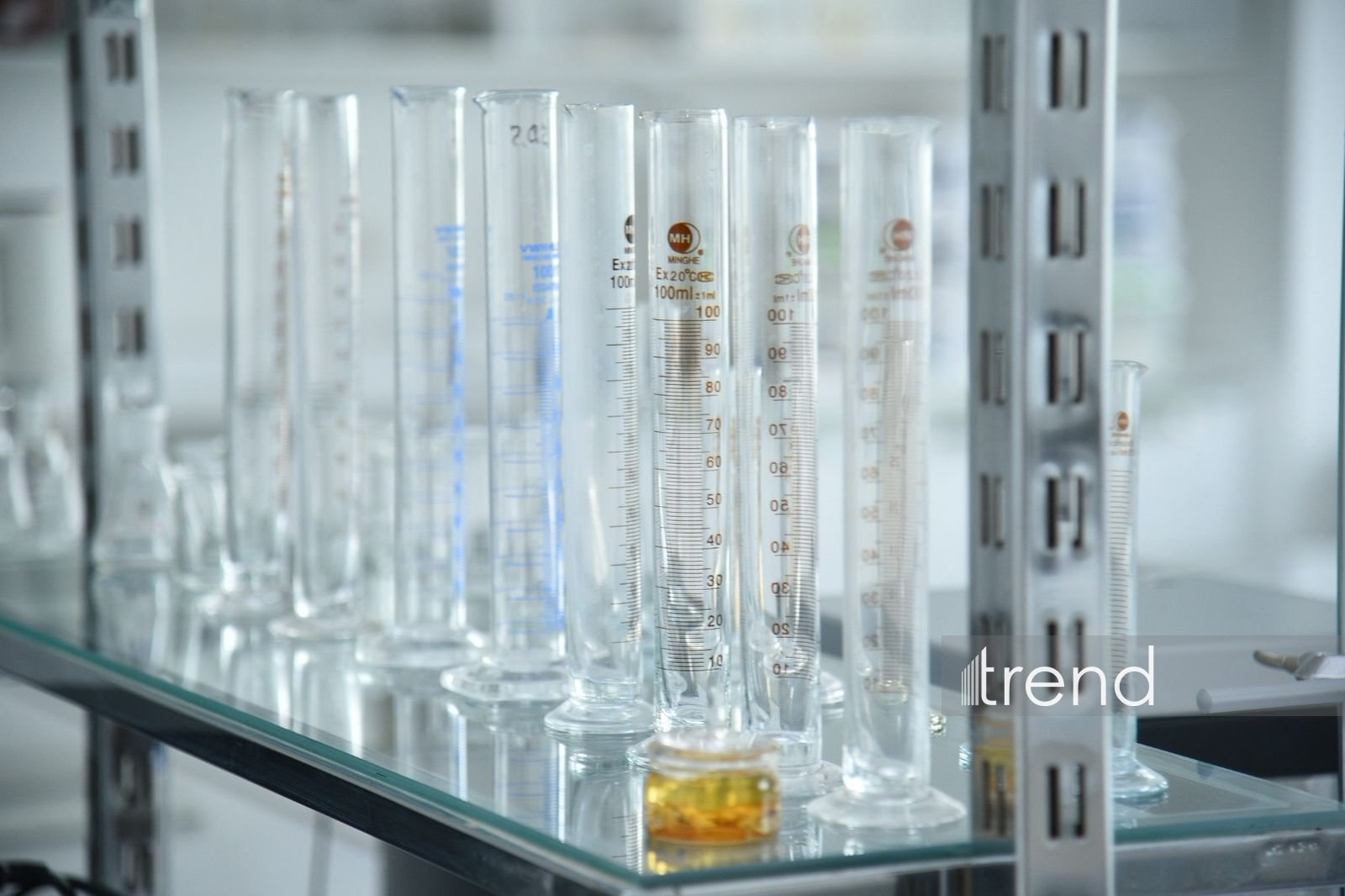 В Бакинском филиале МГУ имени М.В. Ломоносова прошел День открытых дверей на 2026/2027 учебный год (ФОТО)