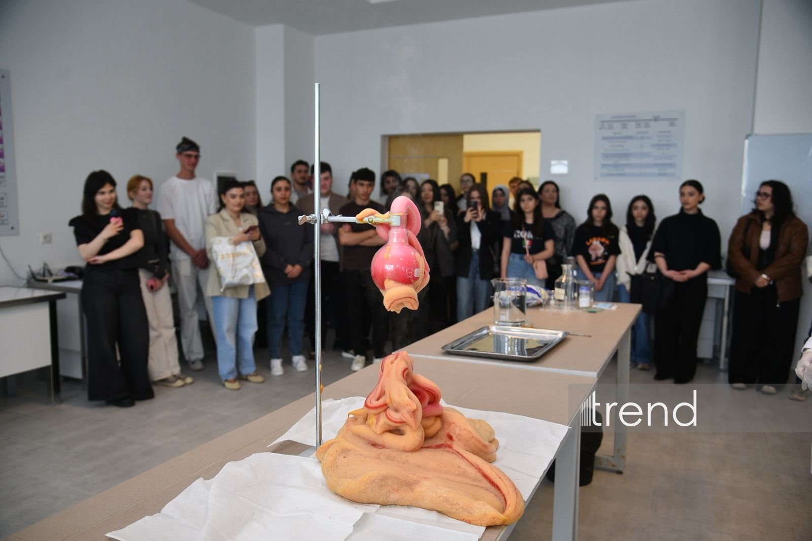 В Бакинском филиале МГУ имени М.В. Ломоносова прошел День открытых дверей на 2026/2027 учебный год (ФОТО)