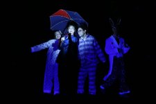 В Баку появилась волшебница, понимающая язык животных и птиц (ФОТО)